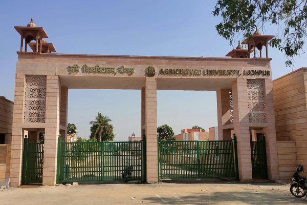 Agriculture University Jodhpur Recruitment 2026: PTA Post, Interview on August 18